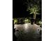 Back patio at night illuminated with landscape lighting, with blooming flowers and neatly arranged garden at 4220 Barletta Ct, Wesley Chapel, FL 33543