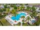 Aerial view of the community pool featuring palm trees, lounge chairs and decorative landscaping creating a resort-like atmosphere at 4220 Barletta Ct, Wesley Chapel, FL 33543