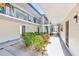 Bright condo courtyard with manicured greenery and a well-maintained walkway, offering a serene outdoor space at 1137 King Arthur Ct # 501, Dunedin, FL 34698