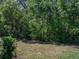 The lush backyard features mature trees and landscaping, creating a private and natural oasis at 12669 Eastpointe Dr, Dade City, FL 33525