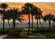 Picturesque beach view with palm trees, lawn area, lounge chairs, and an orange sunset at 17900 Gulf Blvd # 1B, Redington Shores, FL 33708