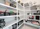 Walk-in pantry with ample shelving for food storage and kitchen organization at 18203 Pine Hammock Blvd, Lutz, FL 33548