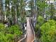 Picturesque wooden walkway leading to a covered dock on a tranquil lake surrounded by trees at 21028 Ski Way, Land O Lakes, FL 34638