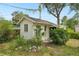 Quaint backyard cottage with exterior lighting and lush greenery at 3603 E Sterling Cir, Tampa, FL 33629