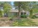 Spacious backyard showcasing the property's lush greenery, landscaping, and shade trees at 3603 E Sterling Cir, Tampa, FL 33629