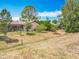 Spacious backyard with mature trees, offering privacy and shade; includes a screened porch and some vegetation at 3932 Watson Dr, New Port Richey, FL 34655