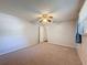 Bedroom features plush carpet, ceiling fan, and open door to another room at 44 Pinewood Cir, Safety Harbor, FL 34695