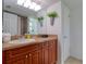 Bathroom with vanity, mirror, plants, shower and toilet at 506 Summerwood Ct, Tarpon Springs, FL 34689