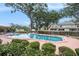Outdoor community swimming pool and lounge area with mature trees and ample space for entertaining at 602 Lynchburg Dr, Brandon, FL 33511