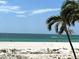 Beautiful oceanfront view with palm trees in the foreground on a clear day at 880 Mandalay Ave # N109, Clearwater Beach, FL 33767