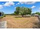 Large backyard features lush green grass, mature trees, and a charming setting at 11514 Sun Rd, Dade City, FL 33525