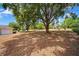 Expansive backyard featuring mature trees and plenty of open space for outdoor activities at 11514 Sun Rd, Dade City, FL 33525