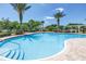 Community pool surrounded by palm trees and lounge chairs at 12323 Country White Cir, Tampa, FL 33635