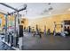 Bright community gym features various weight machines and cardio equipment for resident fitness at 1910 E Palm Ave # 10209, Tampa, FL 33605