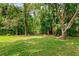 Lush backyard featuring green grass and a view of beautiful mature trees at 19207 Autumn Woods Ave, Tampa, FL 33647