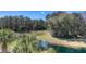 Green backyard overlooking a pond in a lush, wooded area at 19207 Autumn Woods Ave, Tampa, FL 33647