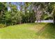 Spacious backyard with mature trees and lush greenery, complemented by a white fence for privacy and a peaceful setting at 19207 Autumn Woods Ave, Tampa, FL 33647