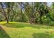 Expansive backyard with lush greenery and mature trees, offering a serene and private outdoor space at 19207 Autumn Woods Ave, Tampa, FL 33647
