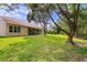 Expansive backyard featuring a well-maintained lawn, mature trees, and a screened lanai for outdoor enjoyment at 19207 Autumn Woods Ave, Tampa, FL 33647