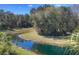Green backyard overlooking a pond in a lush, wooded area at 19207 Autumn Woods Ave, Tampa, FL 33647