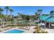 Community pool with lounge seating surrounded by lush landscaping at 19207 Autumn Woods Ave, Tampa, FL 33647