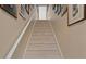 This staircase is carpeted and has a white handrail at 19207 Autumn Woods Ave, Tampa, FL 33647