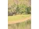 A peaceful pond with wildlife in the backyard of this home at 2653 Longleaf Pine Pt, New Port Richey, FL 34655