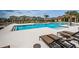 Community pool with ample lounge seating and a pristine, modern design at 2653 Longleaf Pine Pt, New Port Richey, FL 34655