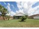 A backyard with a screened-in porch, lush lawn, and mature landscaping and palm trees at 29542 Forest Glen Dr, Wesley Chapel, FL 33543