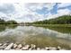 Picturesque pond view surrounded by lush greenery and trees, perfect for nature lovers at 29542 Forest Glen Dr, Wesley Chapel, FL 33543