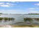 Expansive lake view with lush vegetation, clear water, and open sky, great for nature lovers at 3303 Monroe Meadows Dr, Odessa, FL 33556