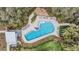 Aerial shot of a luxurious pool area surrounded by lush greenery, lounge chairs, and a serene outdoor space at 3303 Monroe Meadows Dr, Odessa, FL 33556