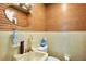 Cozy bathroom with wood paneling, a sink, and a toilet at 36601 Roberts Rd, Dade City, FL 33525