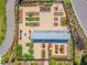 An aerial view of the community garden with raised garden beds at 4275 Burdick Loop, Odessa, FL 33556