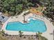 Overhead view of the community pool area with palm trees, lounge chairs, and ample seating at 4275 Burdick Loop, Odessa, FL 33556