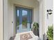 Welcoming entryway with a light blue front door, detailed rug, and a decorative plant at 4300 Barletta Ct, Wesley Chapel, FL 33543