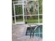 Backyard screened pool with a friendly deer visiting near the fence, blending seamlessly with the peaceful greenery at 5216 Kernwood Ct, Palm Harbor, FL 34685