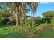 Lush backyard featuring manicured greenery and mature trees with Spanish moss at 5520 Terrain De Golf Dr, Lutz, FL 33558