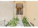 Inviting entryway with a tiled staircase framed by columns and lush greenery at 6404 Mayra Shores Ln, Apollo Beach, FL 33572