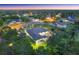 Aerial view of the home featuring a screened-in pool and spacious backyard surrounded by lush greenery at 10117 Breezy Pines Ct, Weeki Wachee, FL 34613