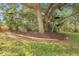 Landscaped backyard with mulched garden bed under mature tree with hanging bird feeders at 10117 Breezy Pines Ct, Weeki Wachee, FL 34613
