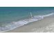 Graceful heron standing at the beach where the waves meet the sand at 10355 Paradise Blvd # 413, Treasure Island, FL 33706
