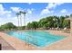 Large in-ground community pool surrounded by lounge chairs and beautiful palm trees at 1177 Emerald Hill Way, Valrico, FL 33594