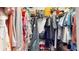 Well-organized walk-in closet with storage shelves and hanging racks for ample storage at 13414 Graham Yarden Dr, Riverview, FL 33579