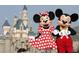 Beautiful view of the castle with Mickey and Minnie Mouse in front at 1348 Emerald Dunes Dr, Sun City Center, FL 33573