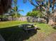 Backyard with picnic table and lush lawn, creating a relaxing and inviting outdoor space at 1818 Douglas Ave, Dunedin, FL 34698