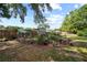 Backyard chicken coop surrounded by grass and mature trees at 18408 Hanna Rd, Lutz, FL 33549