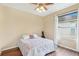 Bedroom features wood floors, a ceiling fan, and window to the backyard at 20254 Ravens End Dr, Tampa, FL 33647