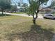 Residential street view featuring well-maintained lawns, mature trees, and neighborhood homes on a sunny day at 2435 37Th N Ave, St Petersburg, FL 33713