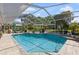 Sparkling swimming pool in a screened enclosure with well-manicured landscaping at 2810 Doone Cir, Palm Harbor, FL 34684